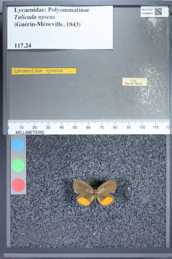 Media type: image;   Entomology 66850